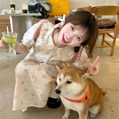飞吧,小鹿